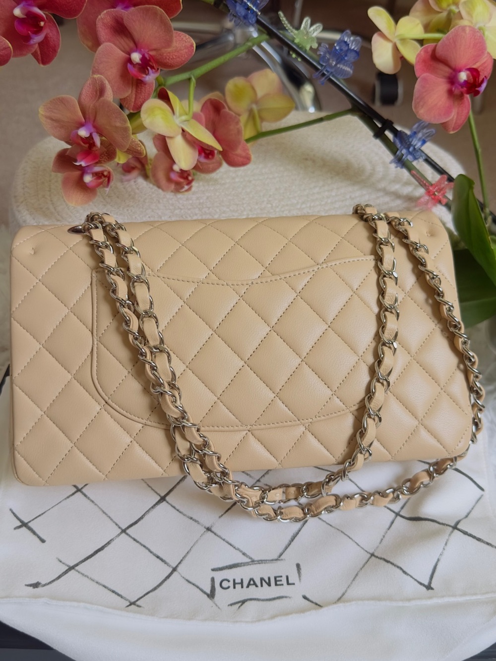 CHANEL Beige Quilted Leather Shoulder Bag with Chain Strap - Picture 16 of 16
